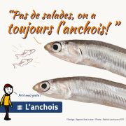 Anchois