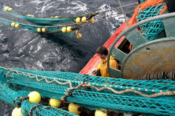 filets de mer - équipement de pêche ou agrès comme toile de fond