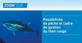 Possibilités de pêche et cadre de gestion du Thon rouge