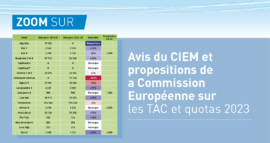 Avis du CIEM et propositions de la Commission Européenne sur les TAC et quotas 2023