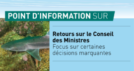 Retour sur le Conseil des Ministres – Focus sur certaines Décisions et faits marquants