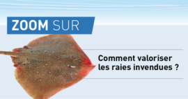 Comment valoriser les raies invendues?