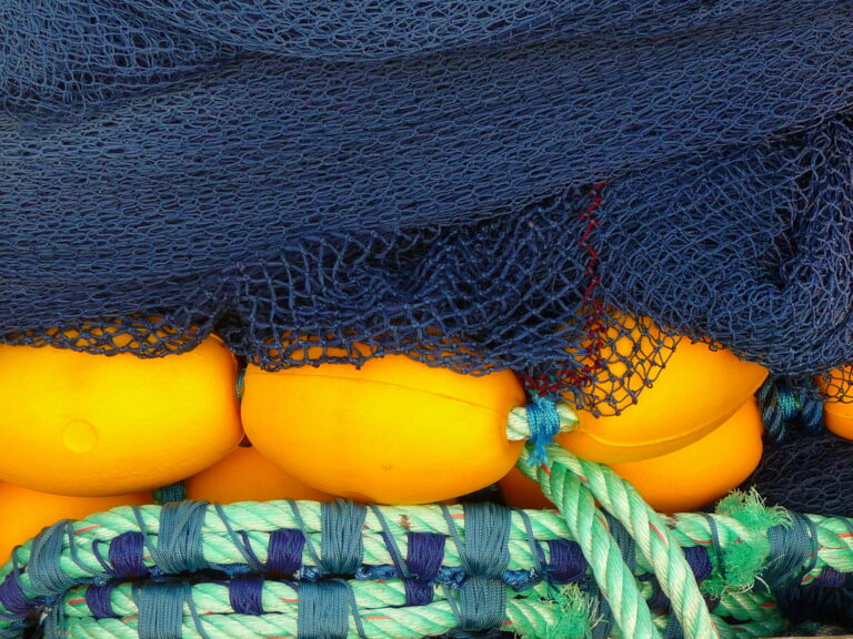 Lancement de France Terre de Pêches